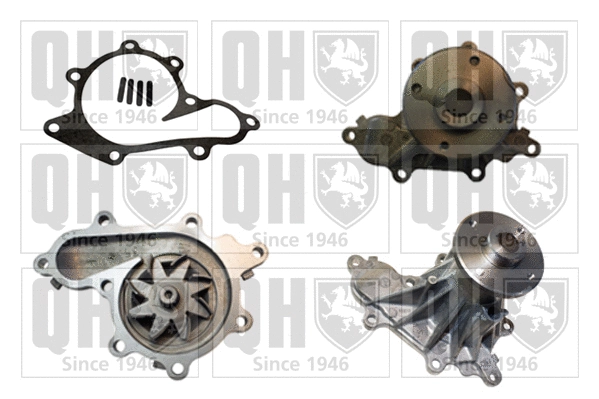 Pompe à eau, refroidissement du moteur QUINTON HAZELL QCP3687