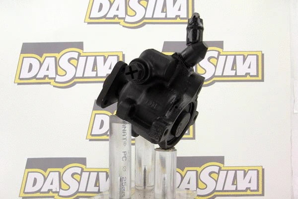 Pompe hydraulique, direction DA SILVA DP2483