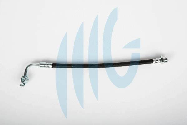 Flexible de frein RICAMBIFLEX GM 02300883