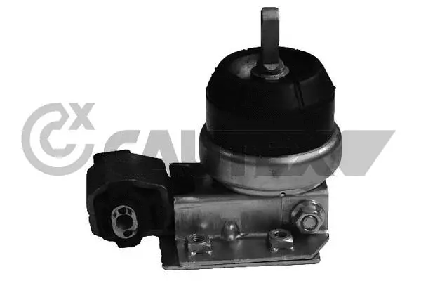 Support moteur CAUTEX 755997