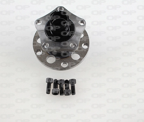 Kit de roulements de roue OPEN PARTS HBK5225.03