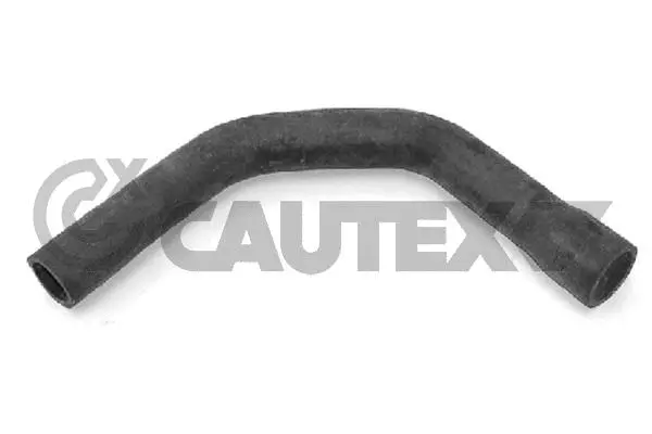 Durite de radiateur CAUTEX 031184