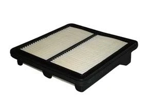 Filtre à air ACDelco Oceania ACA308