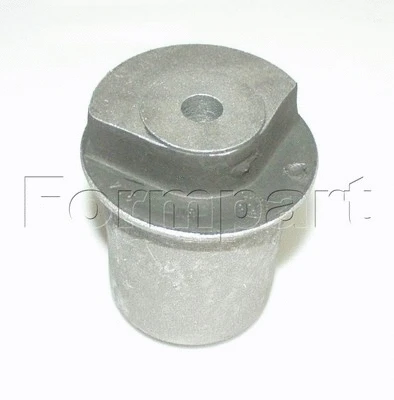 Suspension, corps de l'essieu FORMPART 20407080/S