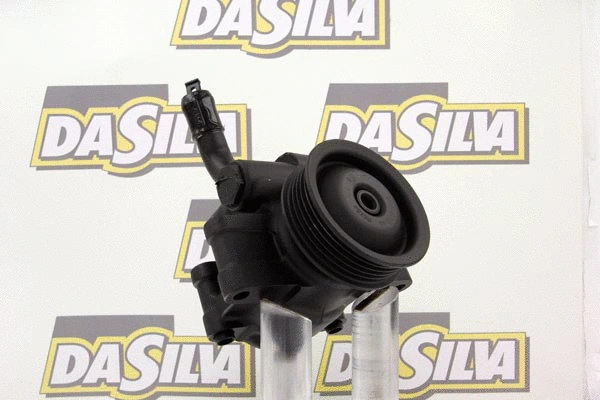 Pompe hydraulique, direction DA SILVA DP2991
