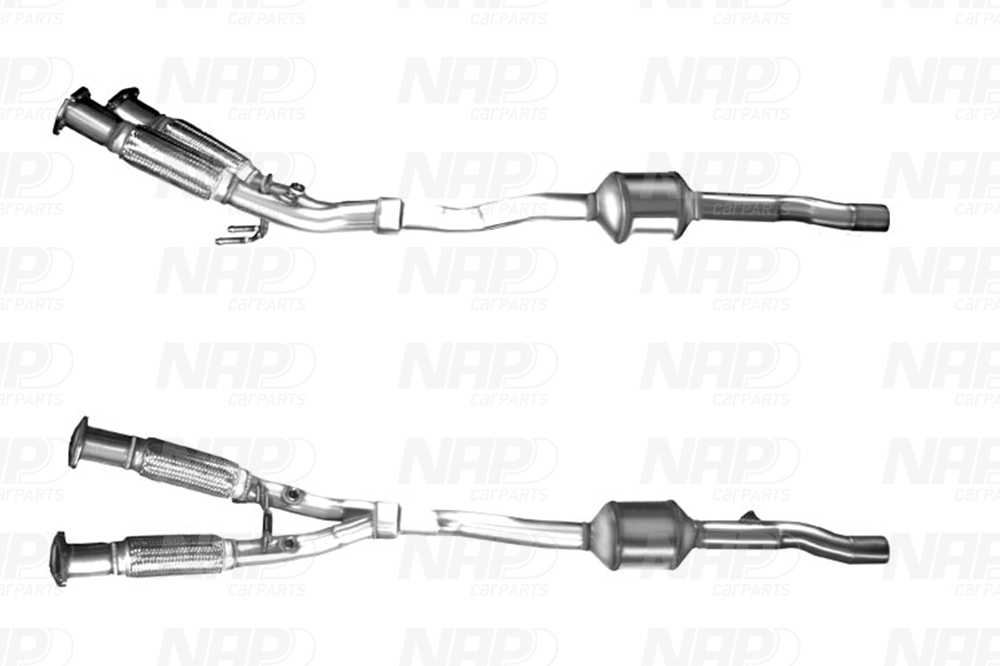 Catalyseur NAP carPARTS CAK11348