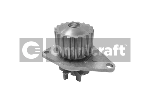 Pompe à eau, refroidissement du moteur Omnicraft 2317113