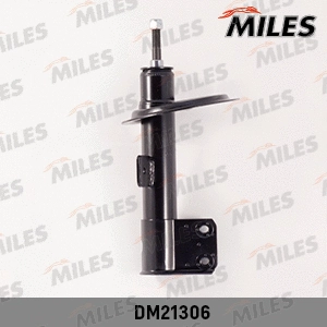 Amortisseur MILES DM21306