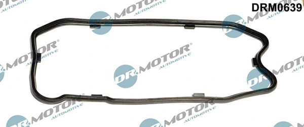 Joint, carter d'huile LIZARTE DRM0639