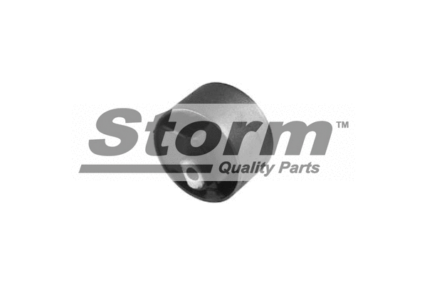 Support moteur STORM QUALITY PARTS F1057