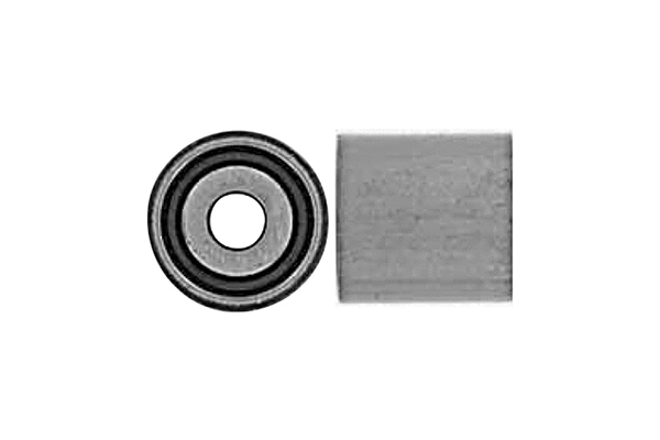 Kit de montage, poulie de renvoi/guidage (courroie crantée) SKF Brazil VKM 21004