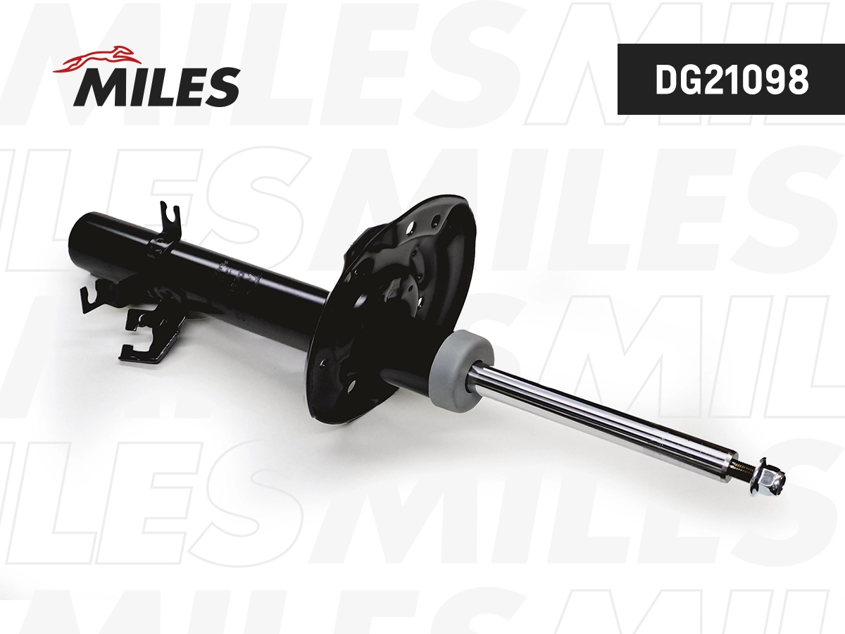 Amortisseur MILES DG21098