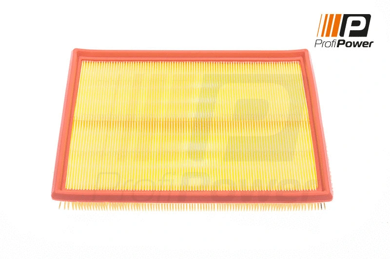 Filtre à air ProfiPower 2F0012