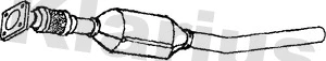 Catalyseur KLARIUS 321964