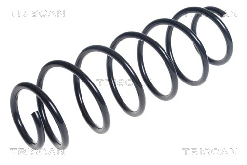Ressort de suspension TRISCAN 8750 15190