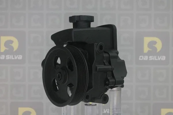 Pompe hydraulique, direction DA SILVA DP3259