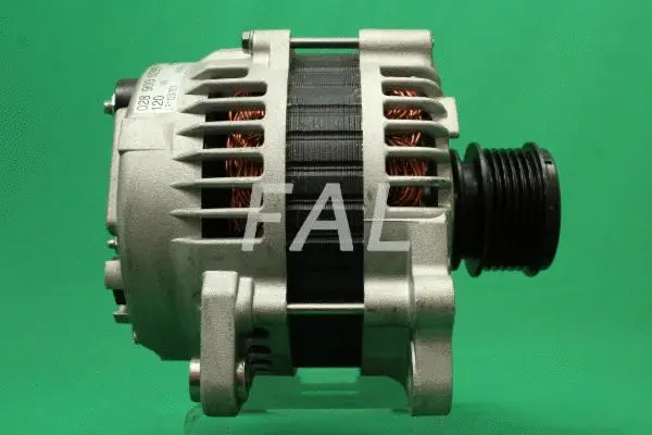 Alternateur FAL Anlasser- und Lichtmaschinenservice F000426/1
