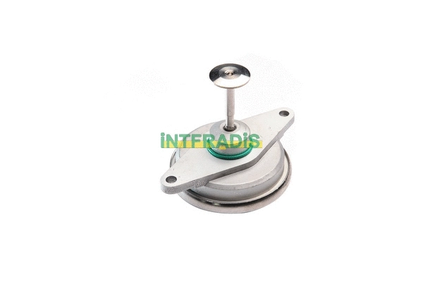 Vanne EGR INTFRADIS 25561