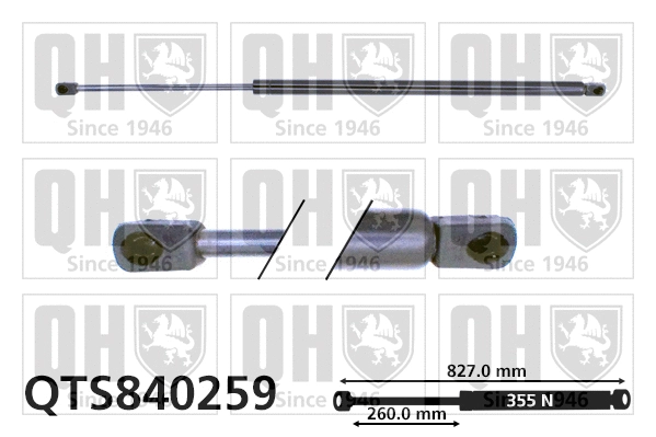 Vérin de hayon, de coffre QUINTON HAZELL QTS840259