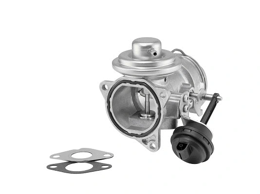 Vanne EGR BorgWarner 7371D