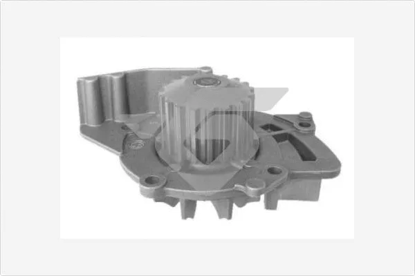 Pompe à eau, refroidissement du moteur HUTCHINSON WP0060V