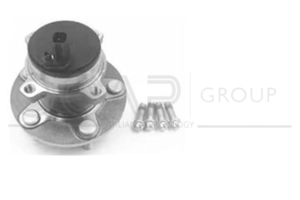 Kit de roulements de roue OCAP 6120378