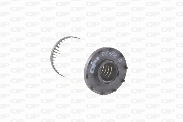 Filtre à huile OPEN PARTS EOF4254.10