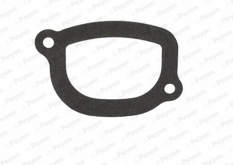 Joint, thermostat PAYEN KA5032