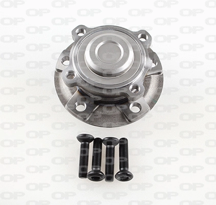 Kit de roulements de roue OPEN PARTS HBK5196.03