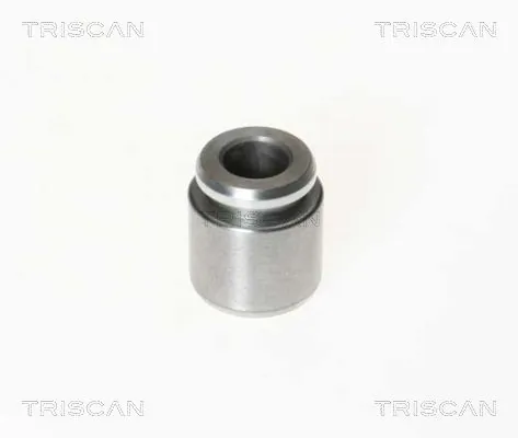 Piston, étrier de frein TRISCAN 8170 232801