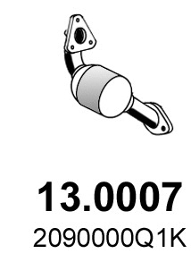 Catalyseur ASSO 13.0007