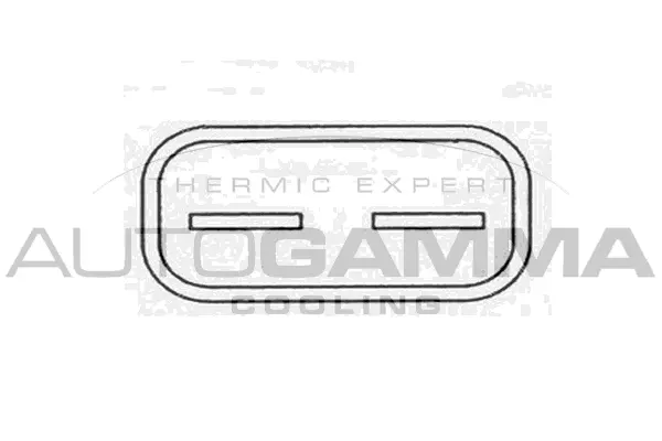 Ventilateur, refroidissement du moteur AUTOGAMMA GA200867
