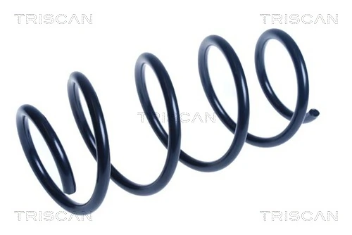Ressort de suspension TRISCAN 8750 14125