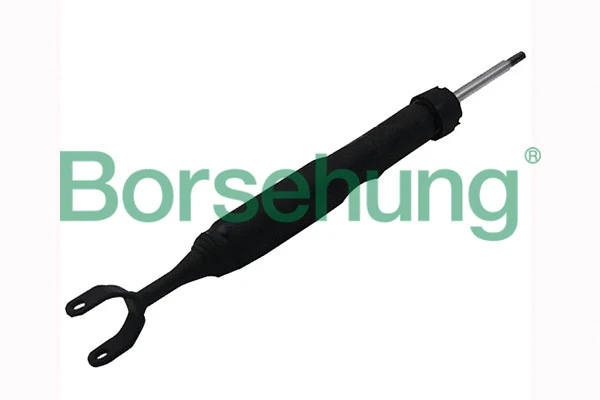 Amortisseur Borsehung B12140