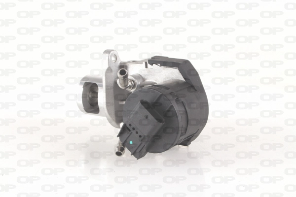 Vanne EGR OPEN PARTS EGR3008.00