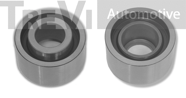 Poulie renvoi/transmission, courroie crantée TREVI AUTOMOTIVE TD1517