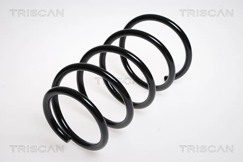 Ressort de suspension TRISCAN 8750 13123