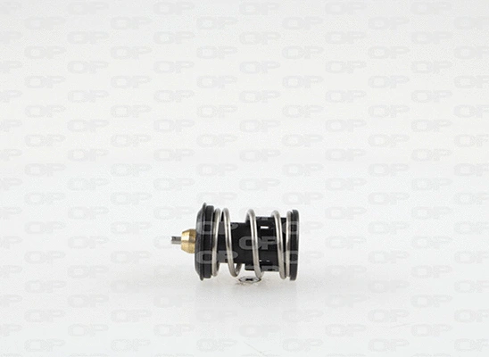 Thermostat, liquide de refroidissement OPEN PARTS TRM1131.00