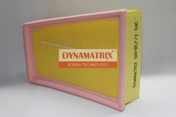Filtre à air DYNAMATRIX DAF957/2