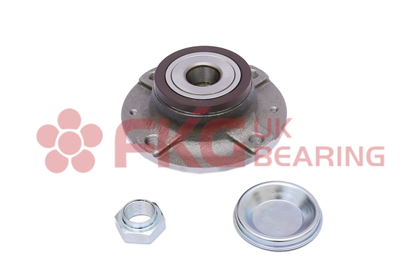 Kit de roulements de roue FKG GL4506S