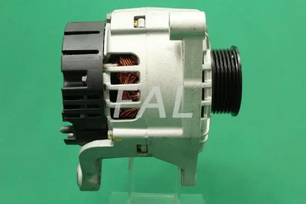 Alternateur FAL Anlasser- und Lichtmaschinenservice F000481/1