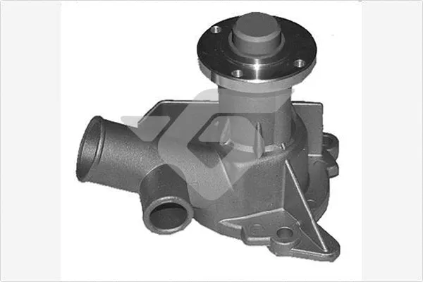 Pompe à eau, refroidissement du moteur HUTCHINSON WP199