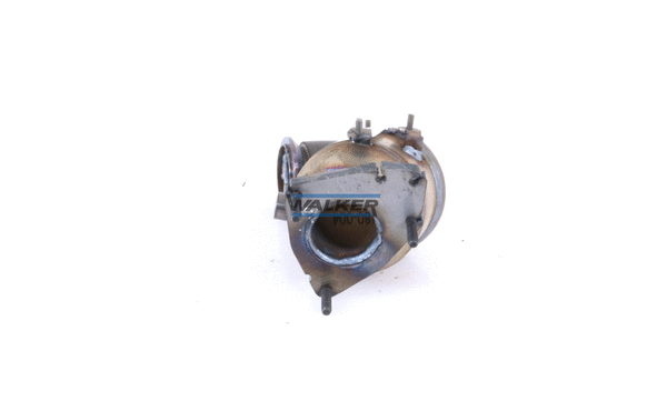 Catalyseur WALKER 20846