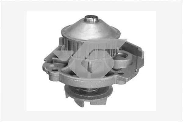 Pompe à eau, refroidissement du moteur HUTCHINSON WP0023V