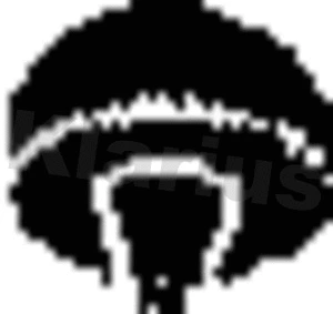Support, silencieux KLARIUS 420237