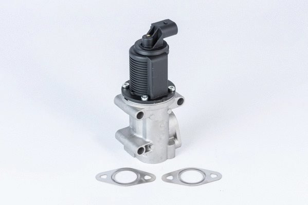 Vanne EGR BorgWarner 710952R