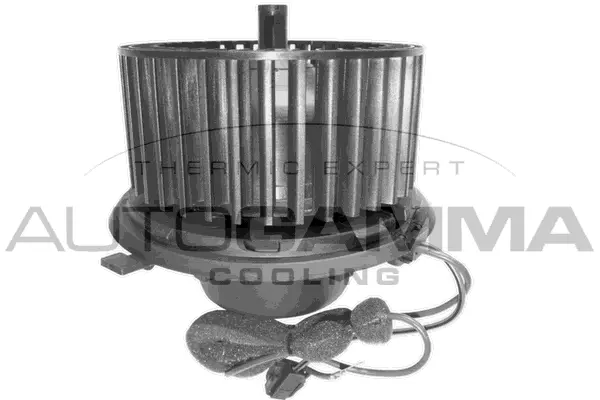 Pulseur d'air habitacle AUTOGAMMA GA31001