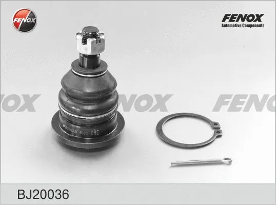 Rotule de suspension FENOX BJ20036