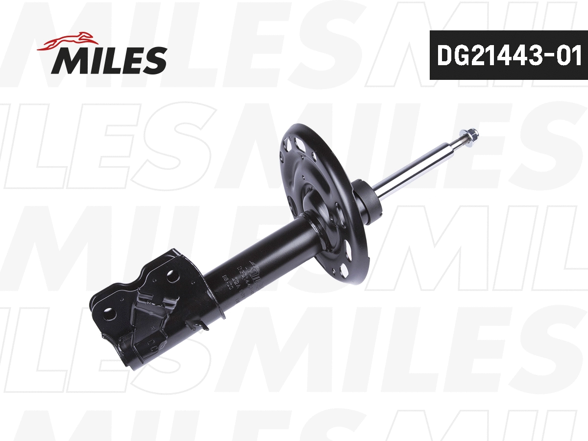 Amortisseur MILES DG21443-01