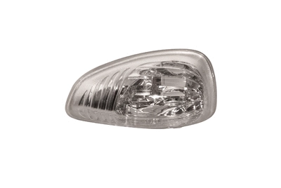 Feu clignotant FERRON 25OP95401